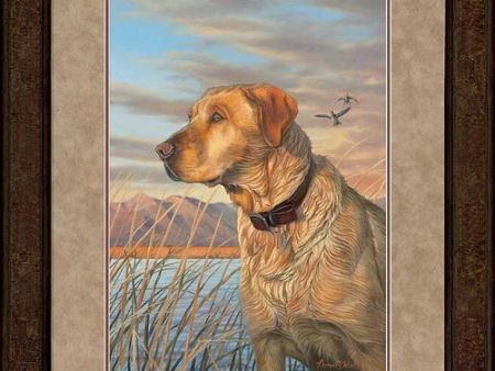 Day Dreaming—Yellow Lab - GNA Premium Print Cheap