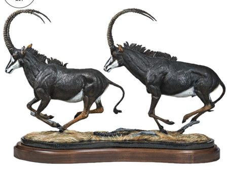 Black Magic—Sable Antelope For Discount