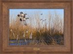 Return Among the Cattails—Wood Ducks; Artist Proof Edition (AP) For Cheap