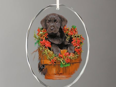 Holiday Surprise - Black Lab Puppy Hot on Sale