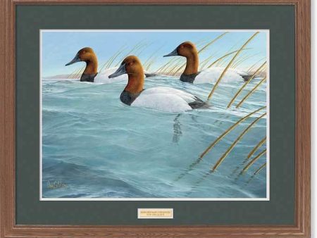 Riding High Again—Canvasbacks Online now