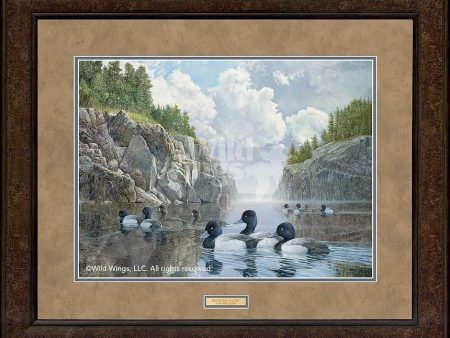 Boundary Waters—Bluebills - GNA Premium Print on Sale