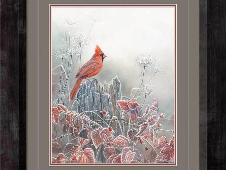 Frost & Fire - Cardinal - Limited Edition Paper For Sale