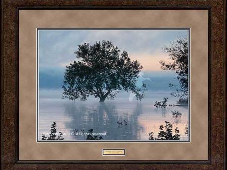 Sunrise Reflections - GNA Premium Print Online Hot Sale