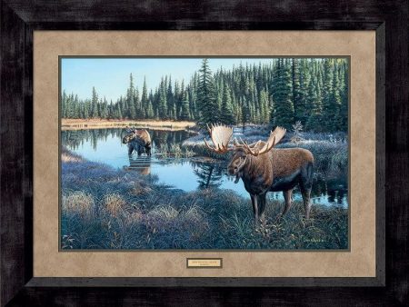 Now Showing—Moose - Limited Edition Paper Discount