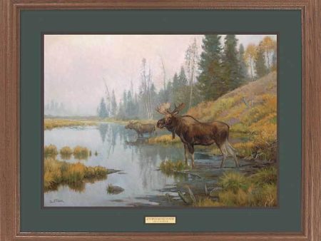 Autumn in Moose Country Online Hot Sale