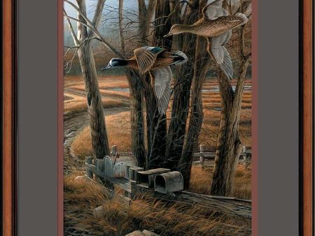 Rural Route—Blue—winged Teal - Pinnacle Print Online Hot Sale