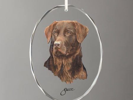 Loyal Companion - Chocolate Lab For Sale