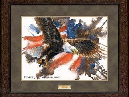 Freedom Flight—Bald Eagle - GNA Premium Print Online now