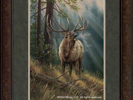 Calling all Challengers—Elk - GNA Premium Print Online