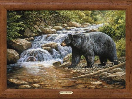 Shadow of the Forest—Black Bear - 32  x 44  Framed Gallery Canvas Online Hot Sale