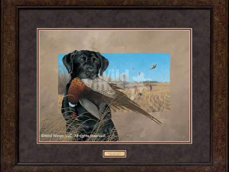 Great Bird Dogs—Black Lab - GNA Premium Print Supply