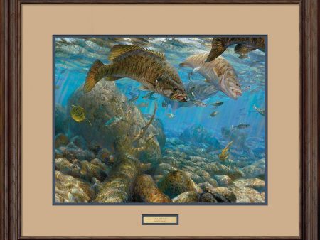 Fall Frenzy-Smallmouth Bass - Limited Edition Paper For Sale