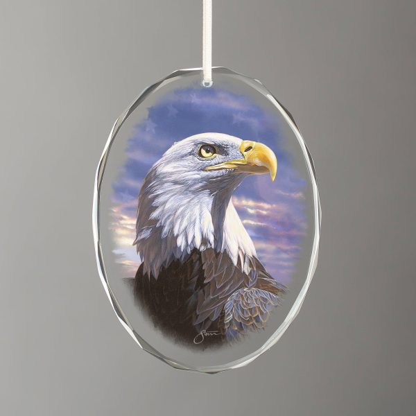 Pride - Bald Eagle Online Hot Sale