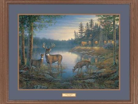 Quiet Places—Whitetail Deer - GNA Premium Print Sale