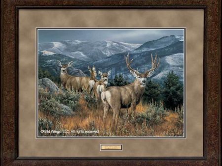 Last Glance—Mule Deer - GNA Premium Print Sale