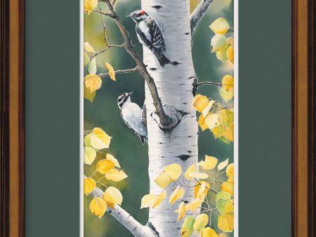 Autumn Afternoon - Downy Woodpecker - Limited Edition Paper For Sale