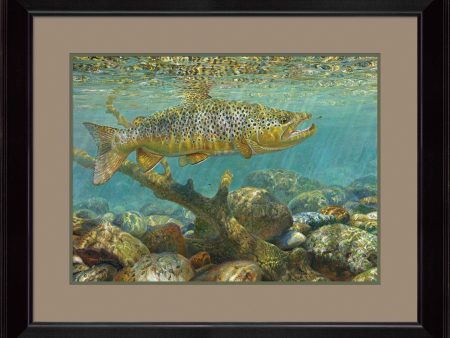 Delusion—Brown Trout - Limited Edition Paper For Discount