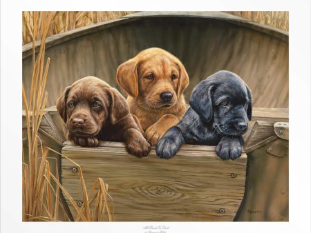 All Hands on Deck—Three Puppies on Sale