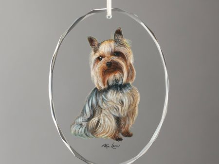 Yorkshire Terrier Discount