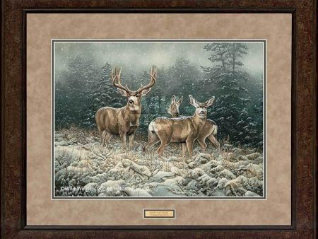 Snowy Retreat—Mule Deer - GNA Premium Print Supply