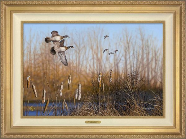 Return Among the Cattails—Wood Ducks; Artist Proof Edition (AP) For Cheap