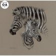 Zebra Pair Charcoal Discount