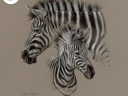 Zebra Pair Charcoal Discount