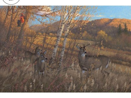 Zone 3; Youth Season—Deer Online