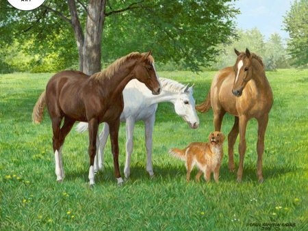 Yearlings—Horses For Discount