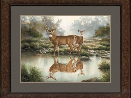 Tranquil Waters—Whitetail Deer - Limited Edition Paper Online Sale