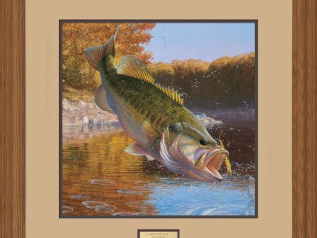 Cartwheeling - Largemouth Bass - Limited Edition Paper Hot on Sale