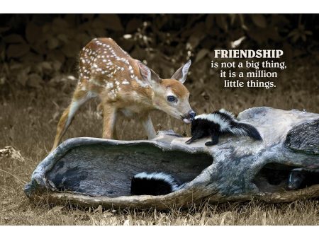 Friendship - Deer and Skunk Cheap