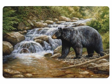 Shadow of the Forest - Black Bear on Sale