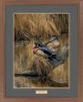 Backwaters—Wood Ducks - GNA Premium Print For Sale