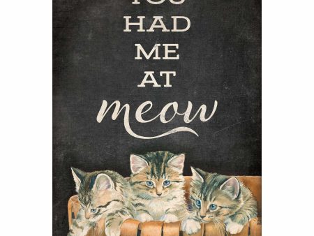 You Had Me At Meow–Kittens For Discount