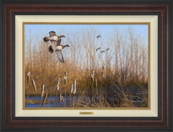 Return Among the Cattails—Wood Ducks; Artist Proof Edition (AP) For Cheap