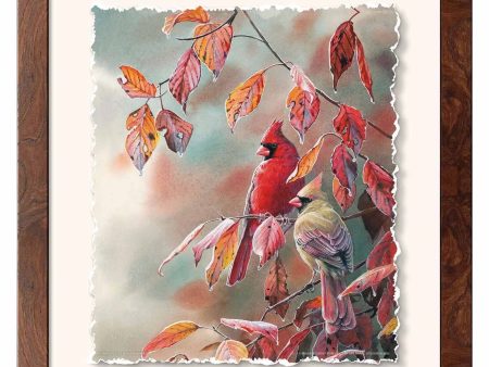 Autumn Chill - Cardinals - Deckled Edge Paper Print Online now