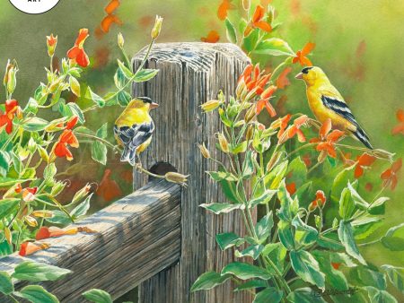 Afternoon Sunshine—American Goldfinches Online Sale