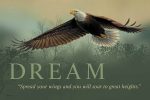 Dream—Eagle Wood Sign For Cheap