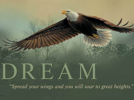 Dream—Eagle Wood Sign For Cheap