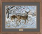 November Snowfall—Whitetail - GNA Premium Print on Sale