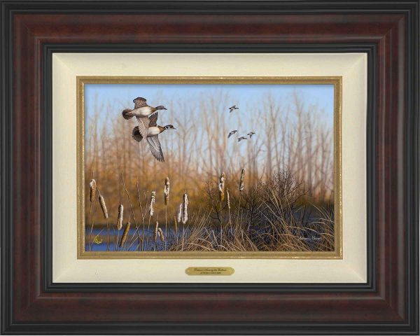 Return Among the Cattails—Wood Ducks; Artist Proof Edition (AP) For Cheap