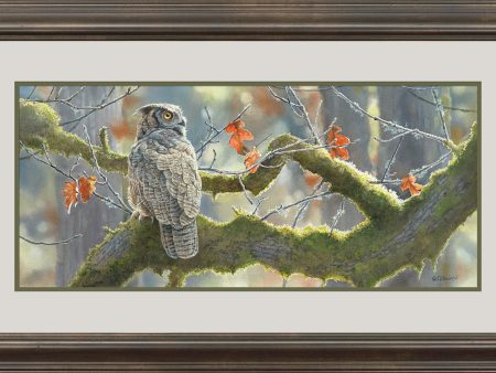 Treetop Hideaway - Limited Edition Paper Online Hot Sale