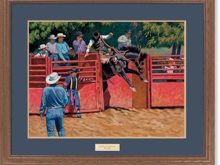 Taken by Surprise—Rodeo on Sale