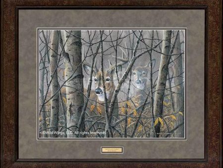 Woodland Dawn—Whitetail Deer - GNA Premium Print Supply