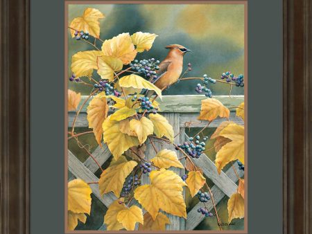 Country Garden - Cedar Waxwing - Limited Edition Paper Discount