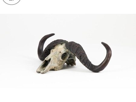 Cape Buffalo Skull Fashion