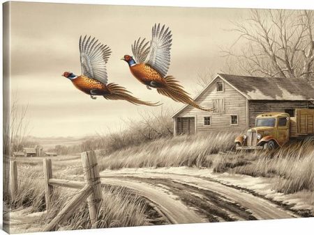 Weathered Memories—Pheasants - 24  x 36  Gallery Wrapped Canvas For Cheap