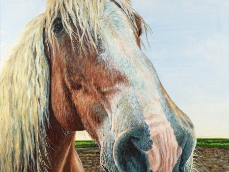 *Original* Gentle Giant by Rollie Brandt 20  x 16  on Sale